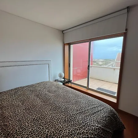 Vela Marina, Costa Nova *