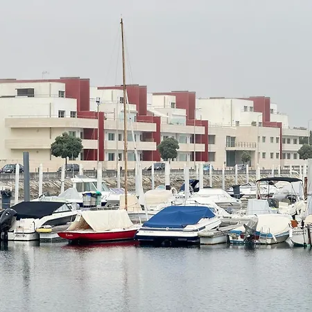 Vela Marina, Costa Nova Daire *